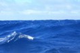 /album/atlantic-crossing/img-2738-jpg/